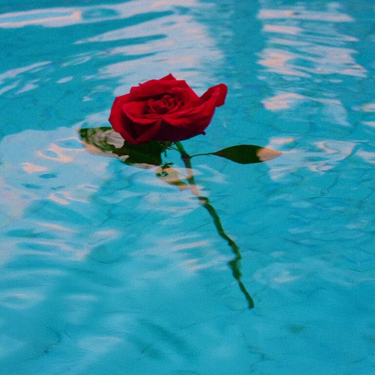 Delírio Sonoro: Delusis Chega com um EP que&nbsp;Hipnotiza