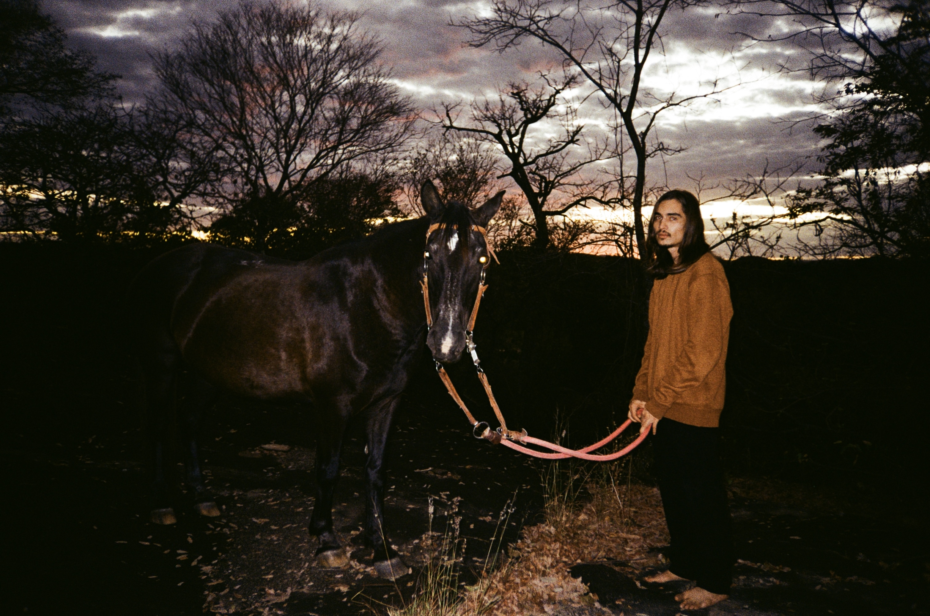 “DEZERT HORSE” é mais que um álbum: é o retrato definitivo de Dezert Horse